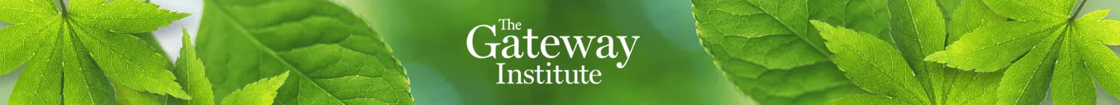 The Gateway Institute The Gateway Institute